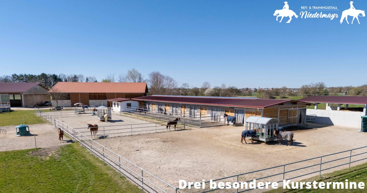 Besondere Kurstermine im Reit- und Trainingsstall Niedermayr